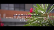 Decitex_Regards croisés_ok_low3.mp4