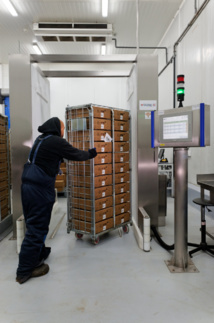 Biolog-id crée pour le LFB un portique RFID
qui optimise la réception du plasma pour fractionnement Biolog-id crée pour le LFB un portique RFID
qui optimise la réception du plasma pour fractionnement