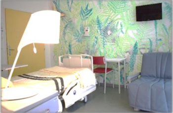 OUVERTURE DU GRAND SECTEUR NAISSANCE : UN MODELE DE PRISE EN CHARGE ORIGINAL AU CHU DE TOULOUSE OUVERTURE DU GRAND SECTEUR NAISSANCE : UN MODELE DE PRISE EN CHARGE ORIGINAL AU CHU DE TOULOUSE