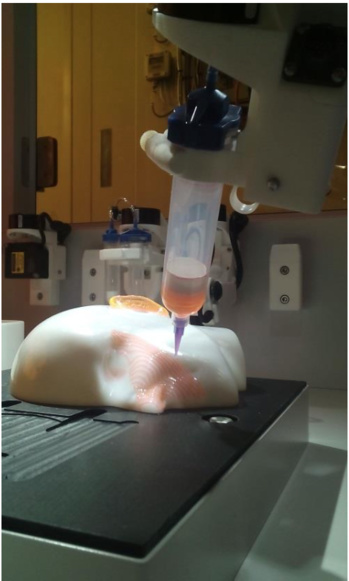 L’impression 3D en santé : c’est à Lyon que ça se passe grâce à la plateforme commune d’impression CHU de Lyon (HCL)/Université Lyon 1