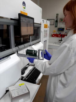 CORONAVIRUS : Faites le point avec bioMérieux sur les réponses apportées aux enjeux de la pandémie COVID-19 CORONAVIRUS : Faites le point avec bioMérieux sur les réponses apportées aux enjeux de la pandémie COVID-19