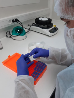 CORONAVIRUS : Faites le point avec bioMérieux sur les réponses apportées aux enjeux de la pandémie COVID-19