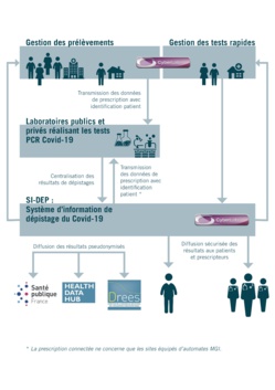 MIPS actif dans la prévention de l'épidémie de Covid-19