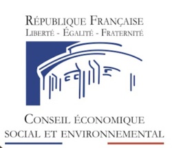 Le CESE lance une consultation sur le passeport vaccinal Le CESE lance une consultation sur le passeport vaccinal