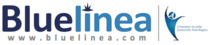 Bluelinea, 7ème du classement national des entreprises cotées du Technology Fast 50