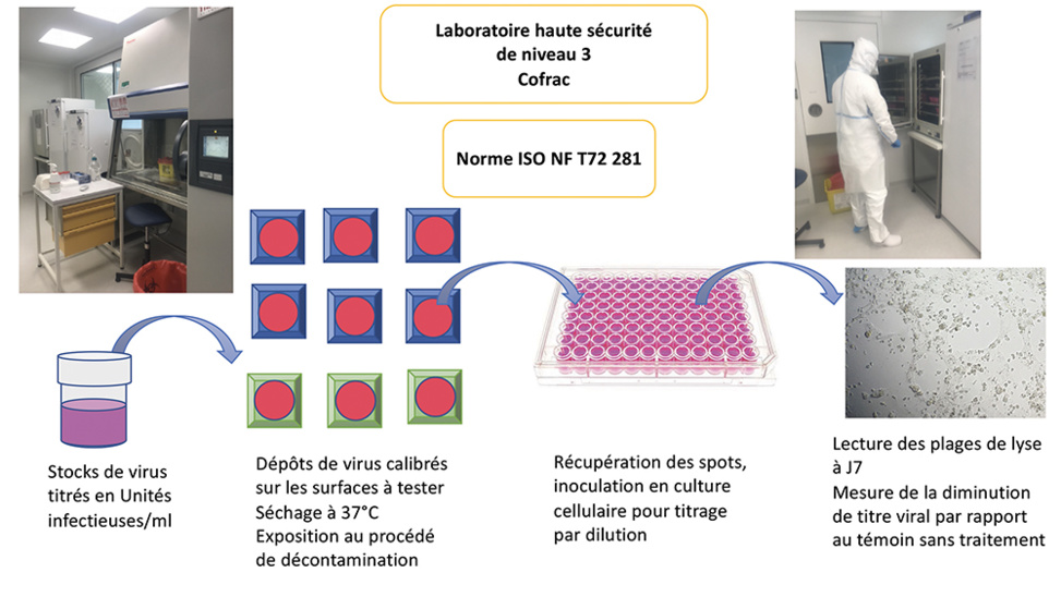 TRILOGIE UV-LED montrant l’éclairage obtenu avec la lampe STERILUV. Les UV-C ne sont pas visibles. La zone repérée avec les longueurs d’onde UV -LED complémentaires est mieux perceptible et augmente la sécurité d’utilisation. © Mathis Courant, UMR Inserm 1092, Université de Limoges TRILOGIE UV-LED montrant l’éclairage obtenu avec la lampe STERILUV. Les UV-C ne sont pas visibles. La zone repérée avec les longueurs d’onde UV -LED complémentaires est mieux perceptible et augmente la sécurité d’utilisation. © Mathis Courant, UMR Inserm 1092, Université de Limoges