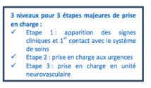 Face à l’AVC, « 4h30 CHRONO », le 1er Serious Game à destination des professionnels de santé
