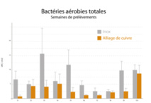 Résultats de l’étude conduite au CHU d’Amiens - Quantité de bactéries sur l’inox et le cuivre, par semaines de prélèvements Résultats de l’étude conduite au CHU d’Amiens - Quantité de bactéries sur l’inox et le cuivre, par semaines de prélèvements