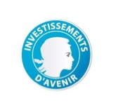 Investissements d’avenir : le gouvernement retient 5 projets dans le programme « Territoire de soins numérique »