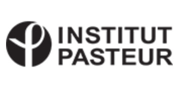 L'Institut Pasteur alerte sur l'émergence en France d’une souche de Shigella sonnei hautement résistante aux antibiotiques L'Institut Pasteur alerte sur l'émergence en France d’une souche de Shigella sonnei hautement résistante aux antibiotiques