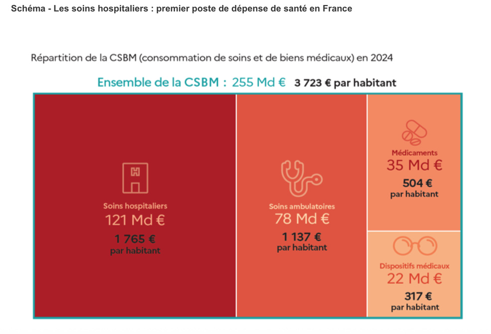 Publication DREES : Les dépenses de santé en 2024 – Résultats des comptes de la santé – Édition 2025