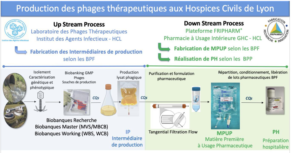 (c) HCL