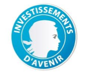 Investissements d’Avenir : 78,4 M€ pour les lauréats du deuxième appel à projets Recherche Hospitalo-Universitaire en santé Investissements d’Avenir : 78,4 M€ pour les lauréats du deuxième appel à projets Recherche Hospitalo-Universitaire en santé