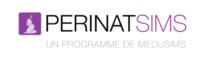 La simulation médicale numérique au service de l’entrainement des sages-femmes et obstétriciens