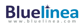 Bluelinea, « Champion Systematic 2013 »