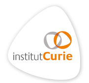 Le Professeur Thierry Philip, nouveau président de l’Institut Curie Le Professeur Thierry Philip, nouveau président de l’Institut Curie