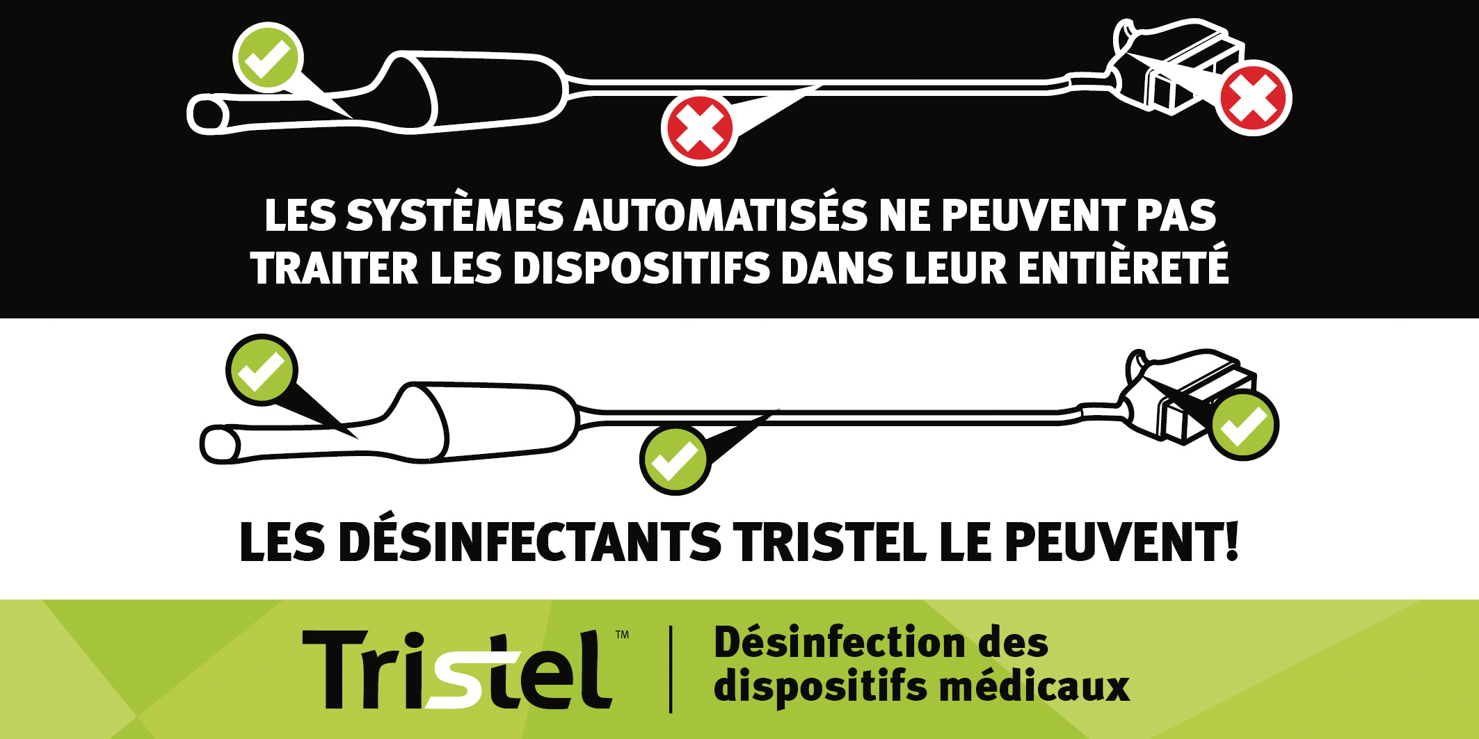 Échographie au point d’intervention : Tristel mobilise son expertise unique