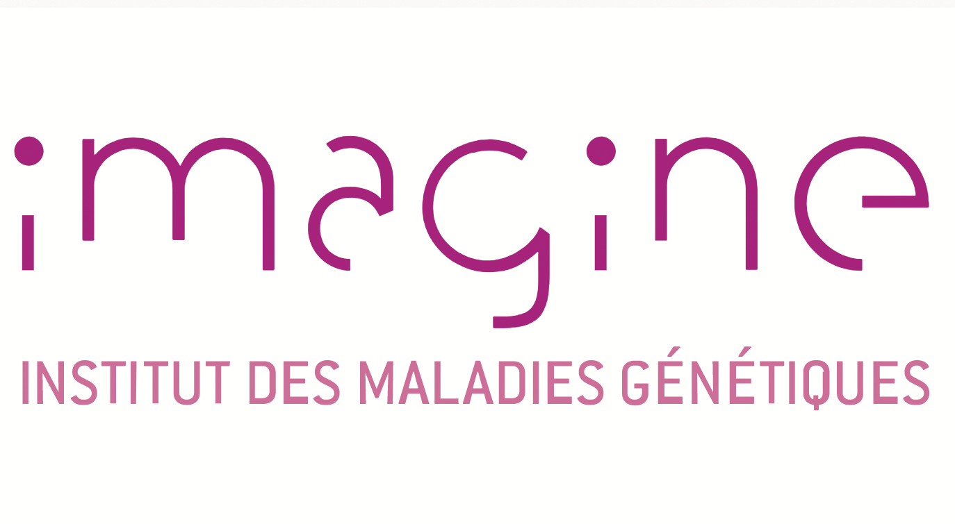 L’institut Imagine lance sa « campagne grands donateurs »