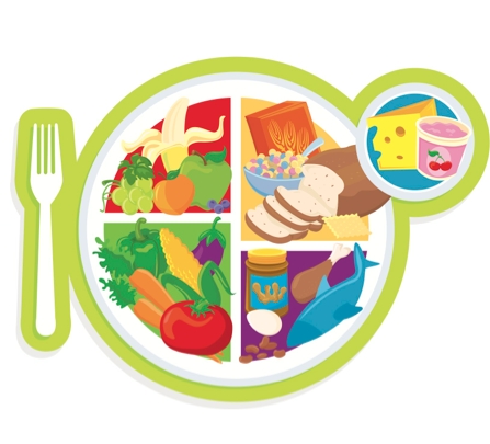 52èmes Journées d’Études de l’AFDN : les temps forts 52èmes Journées d’Études de l’AFDN : les temps forts