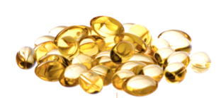 52èmes Journées d’Études de l’AFDN : les temps forts 52èmes Journées d’Études de l’AFDN : les temps forts