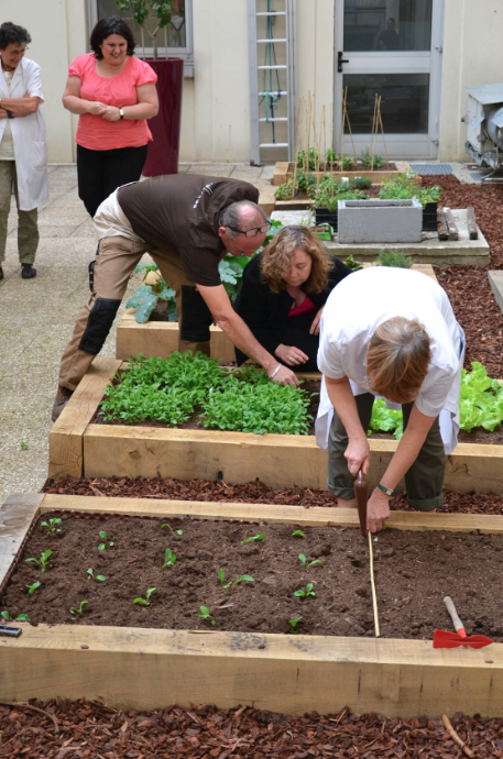 L’hôpital Foch inaugure un jardin de détente pour son personnel