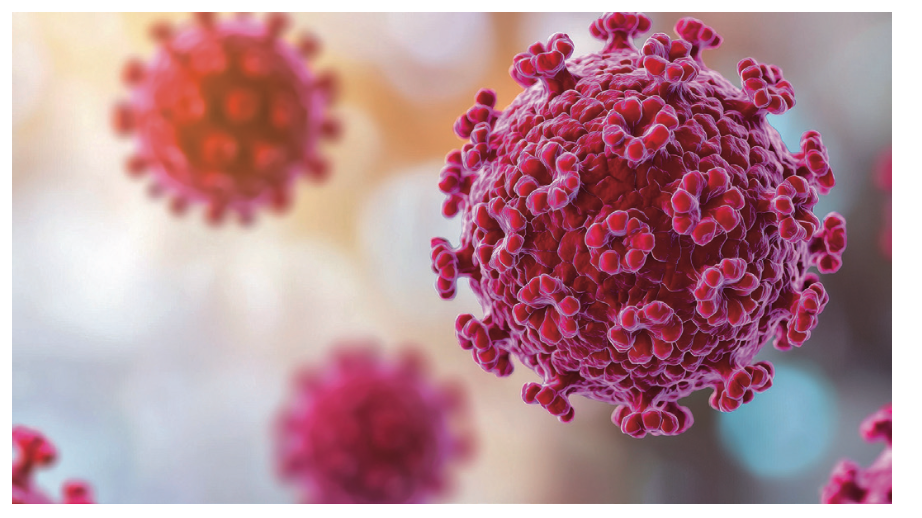 Risque invisible : quand le HPV impose de repenser la désinfection en gynécologie