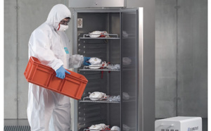 Une armoire de stérilisation au plasma pour la désinfection des vêtements et des masques