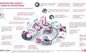 Grand-Ouest : premier panorama des acteurs de la e-santé