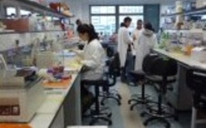 L’Institut Pasteur et l’Université de Hong Kong : une collaboration de choc