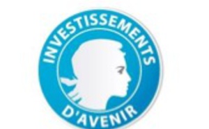 Investissements d’avenir : le gouvernement retient 5 projets dans le programme « Territoire de soins numérique »