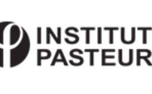 L'Institut Pasteur alerte sur l'émergence en France d’une souche de Shigella sonnei hautement résistante aux antibiotiques