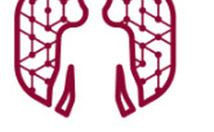 Conférence Nature: 30 intervenants internationaux réunis à la Sorbonne pour construire les fondations scientifiques de l’IA en médecine