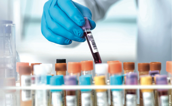 Publication Les Echos Études : le nouveau visage de la biologie médicale