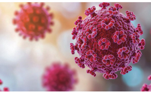 Risque invisible : quand le HPV impose de repenser la désinfection en gynécologie