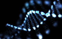 Innovation en santé : création prochaine de plateformes de séquençage à très haut débit du génome humain