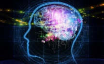 Explorer la « carte » de notre cerveau pour ouvrir la voie à la médecine personnalisée du futur #INSERM