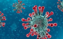 Crise sanitaire : l’Etat appelle tous les professionnels de santé, sociaux et médico-sociaux volontaires à s’enregistrer sur la plateforme Renfort-RH