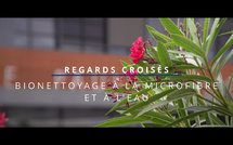 Regards croisés : bionettoyage à la microfibre et à l'eau