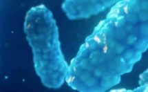 Antibiorésistance : le nouveau livre blanc de bioMérieux décrypte l’alliance stratégique entre IA et innovation médicale