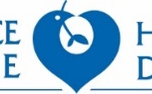 L’AP-HP prévoit en 2026 d’amplifier le redressement de sa situation économique