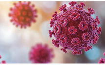 Risque invisible : quand le HPV impose de repenser la désinfection en gynécologie