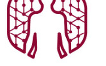 Conférence Nature: 30 intervenants internationaux réunis à la Sorbonne pour construire les fondations scientifiques de l’IA en médecine